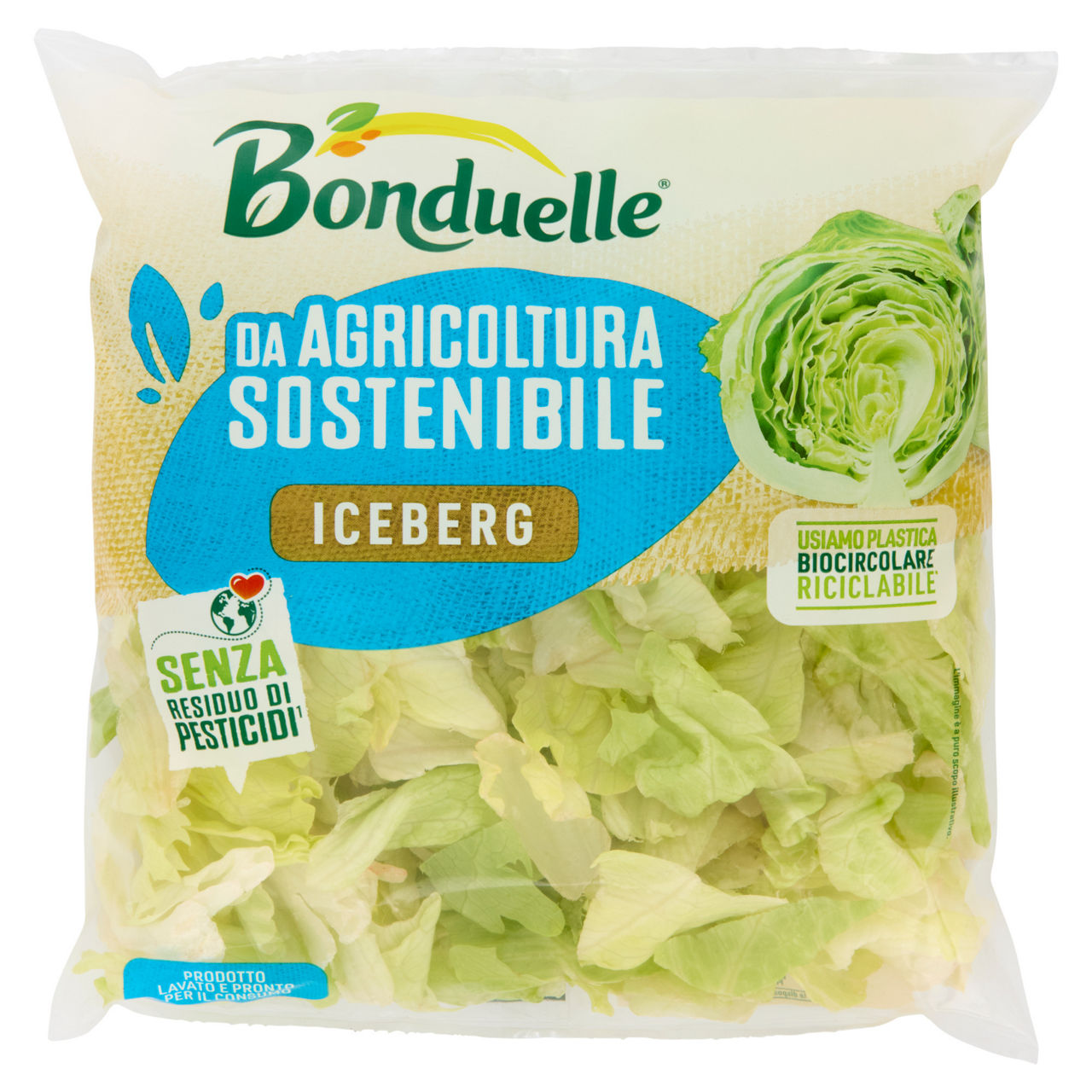 Insalata iceberg 200 gr - Immagine 01