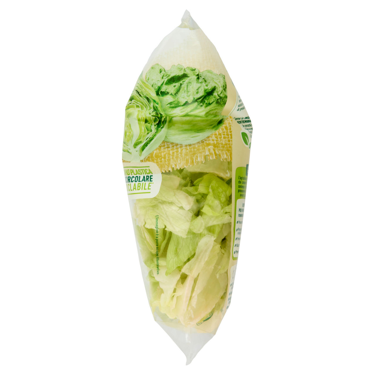Insalata iceberg 200 gr - Immagine 31
