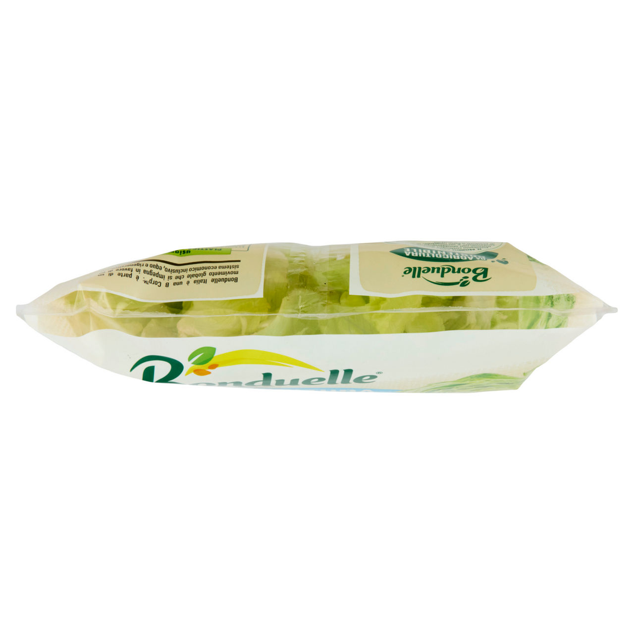 Insalata iceberg 200 gr - Immagine 41