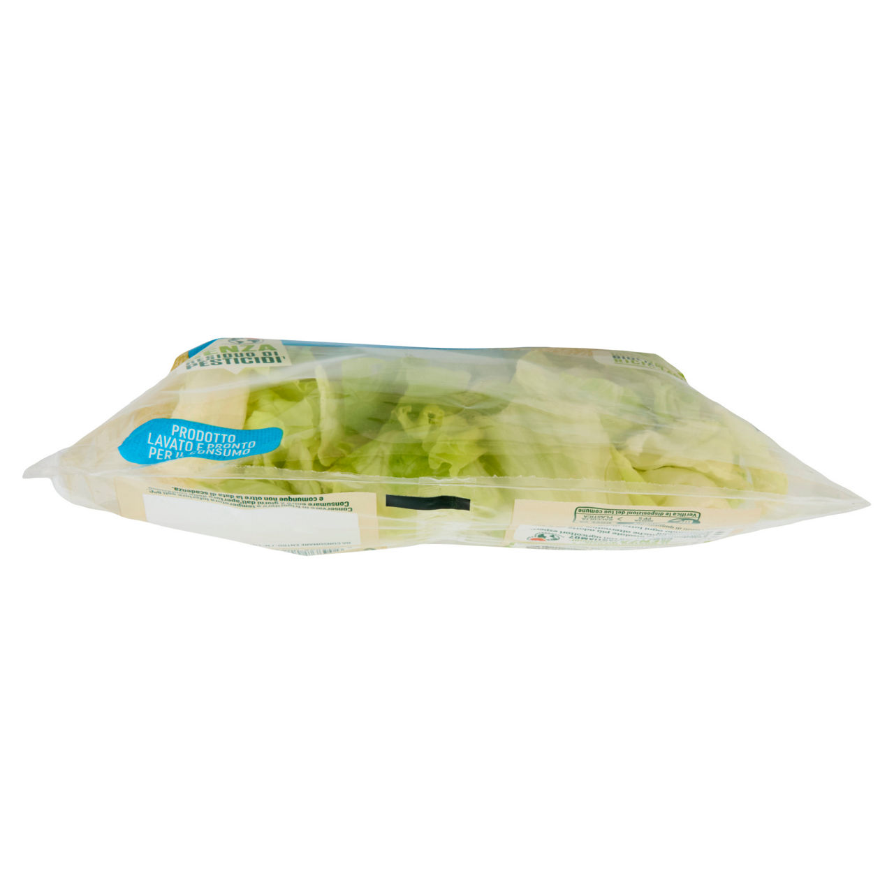 Insalata iceberg 200 gr - Immagine 51