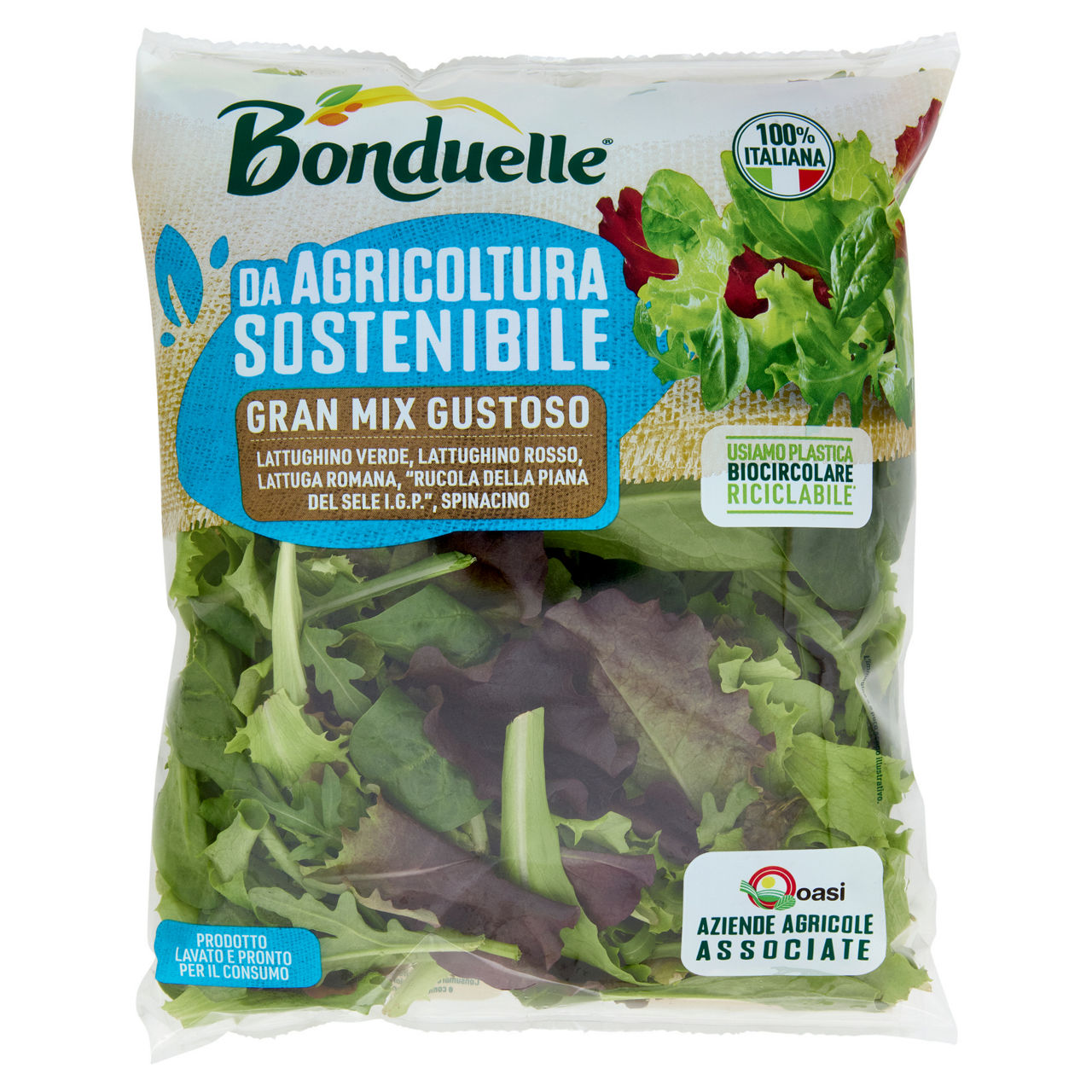 Insalata gran mix gustoso 100 gr - Immagine 01