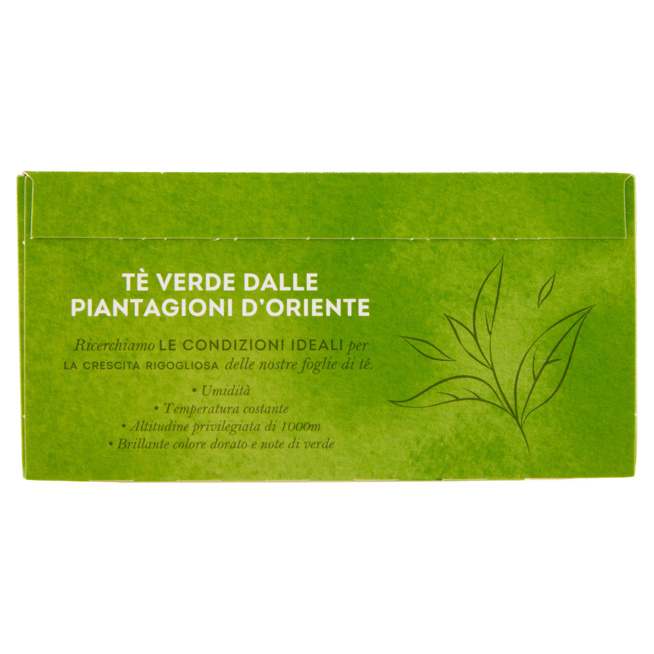 The verde classico 25 filtri - Immagine 41