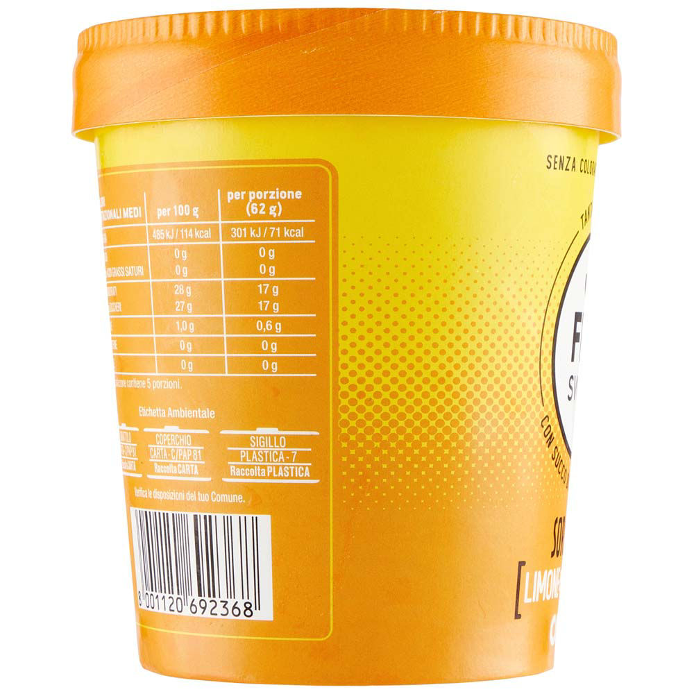 Sorbetto limone e zenzero 310 gr - Immagine 11