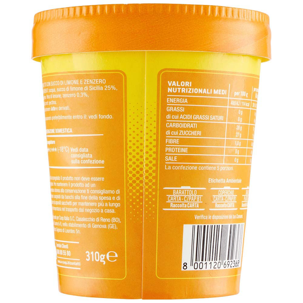 Sorbetto limone e zenzero 310 gr - Immagine 21