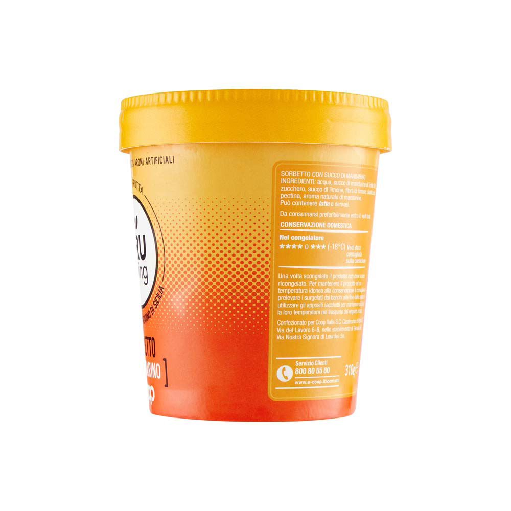 Sorbetto al mandarino 310 gr - Immagine 31