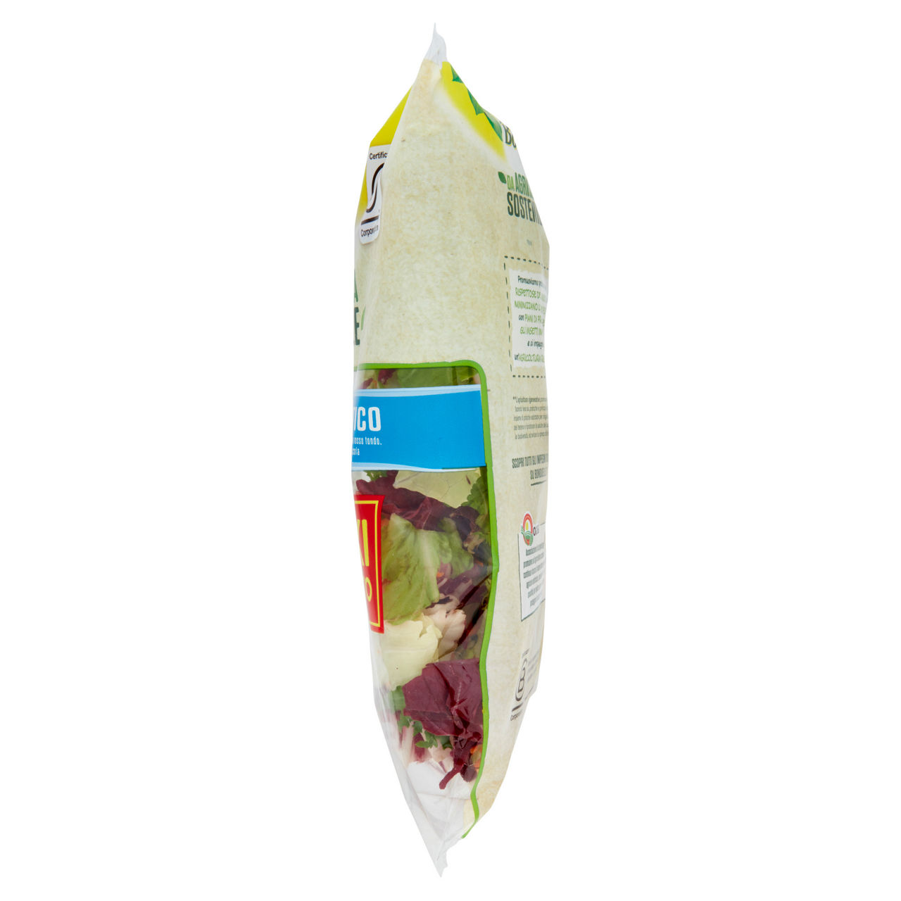 Insalata mix rustico 300 gr - Immagine 21