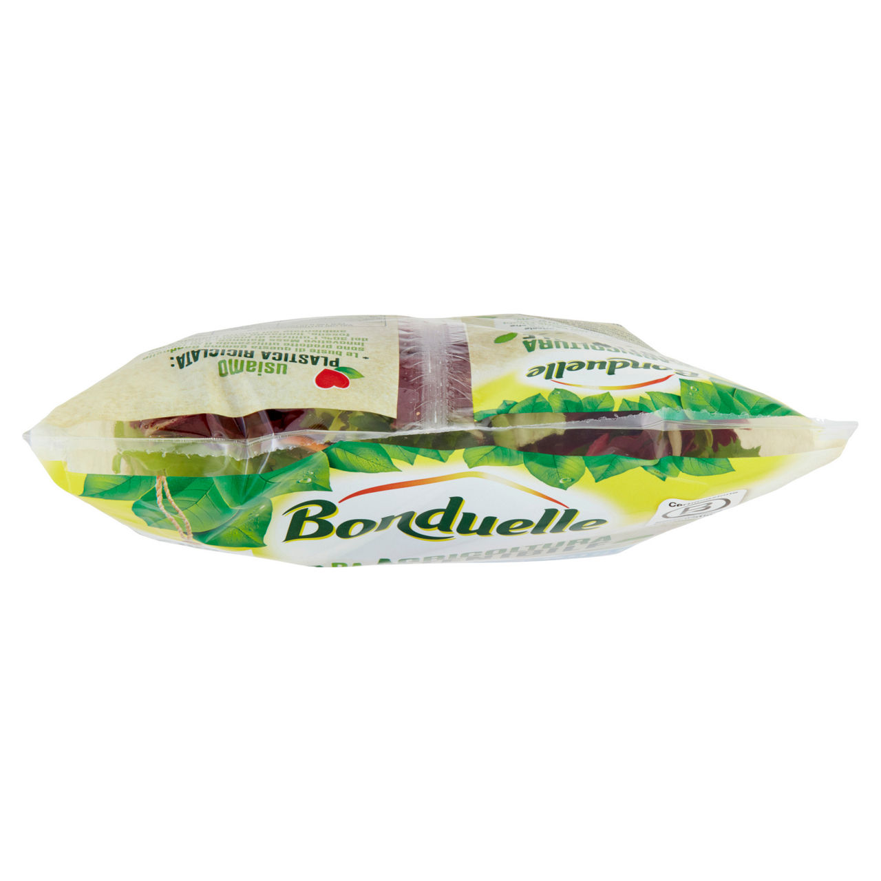 Insalata mix rustico 300 gr - Immagine 41