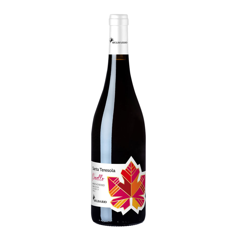Vino novello Marche Rosso IGT Santa Teresola 750 ml