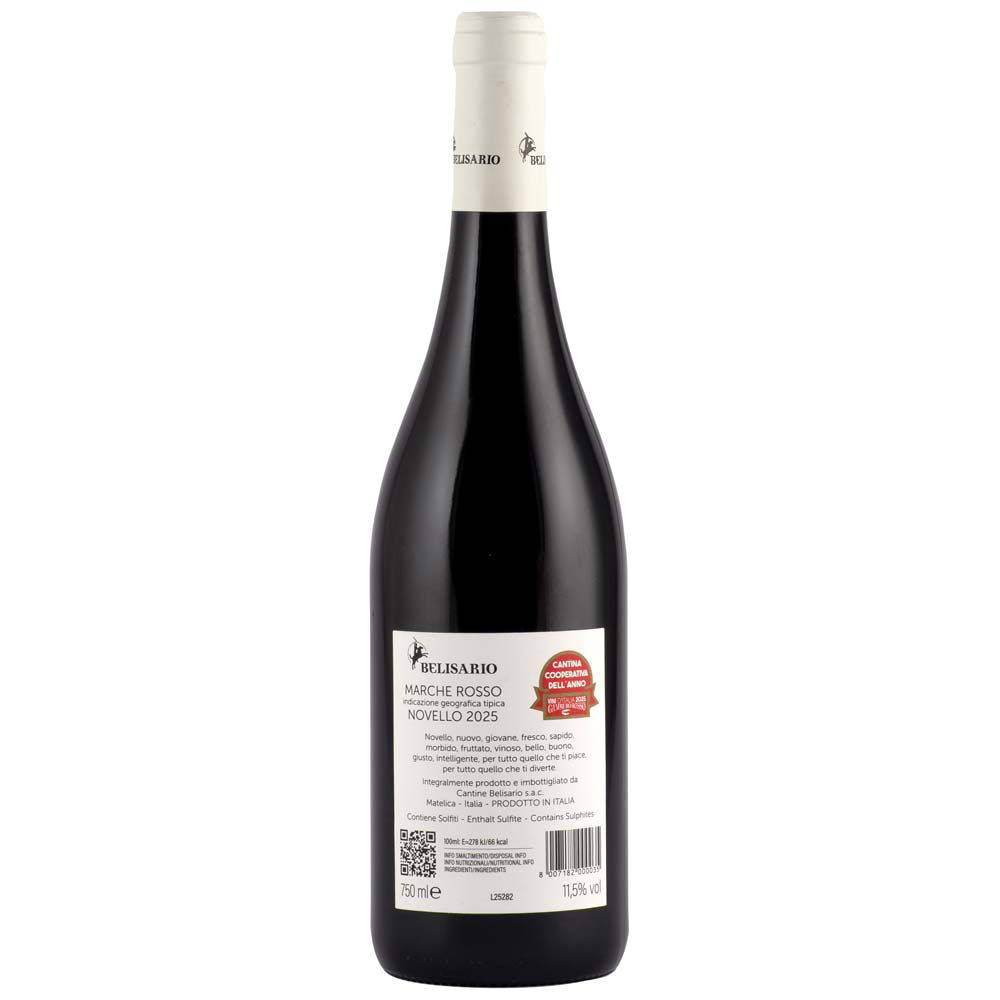 Vino novello Marche Rosso IGT Santa Teresola 750 ml - 1