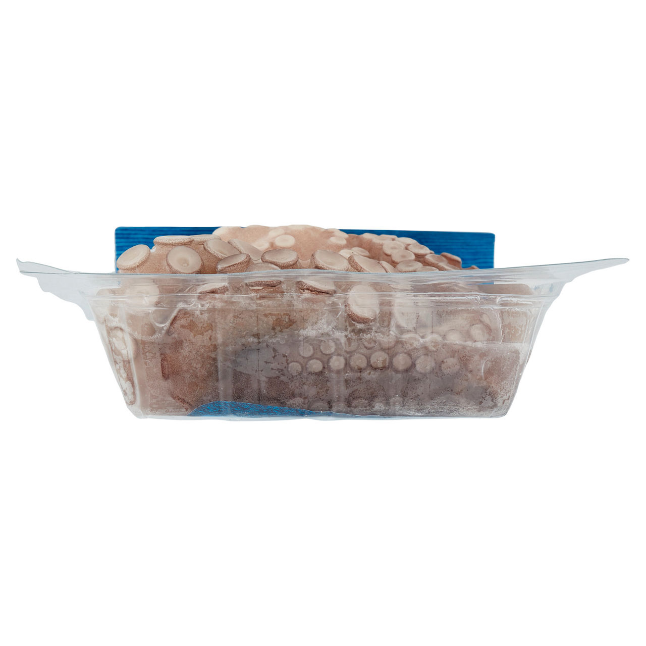 Polpo intero pulito e surgelato 500 gr - Immagine 111