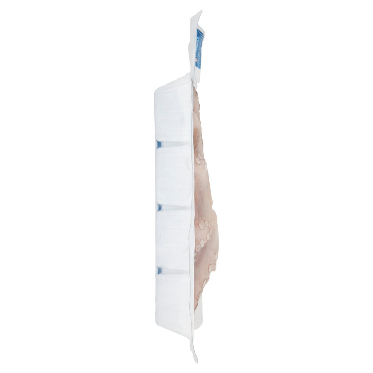 Polpo intero pulito e surgelato 500 gr - Immagine 31