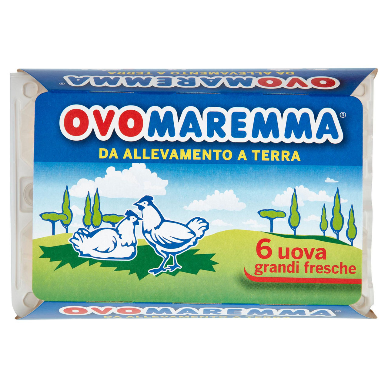 Uova grandi fresche da allevamento a terra 6 pz - Immagine 01