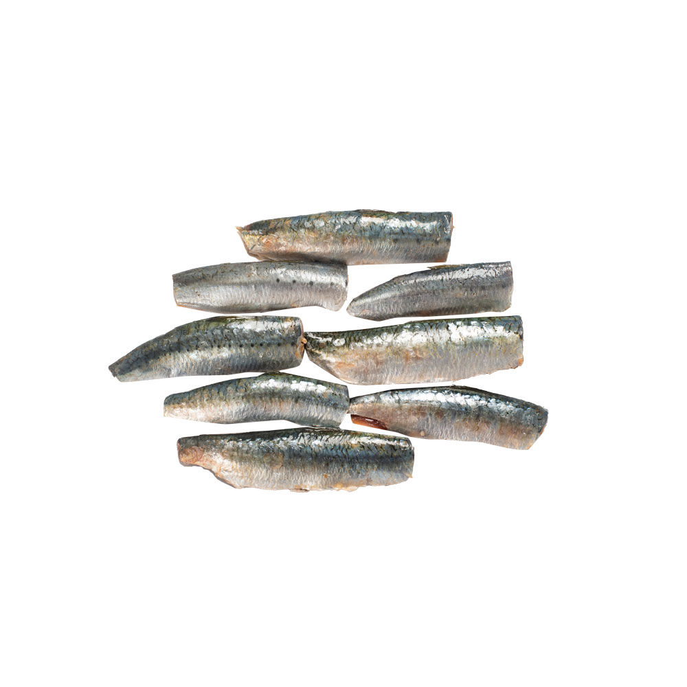 Filetti di sardine