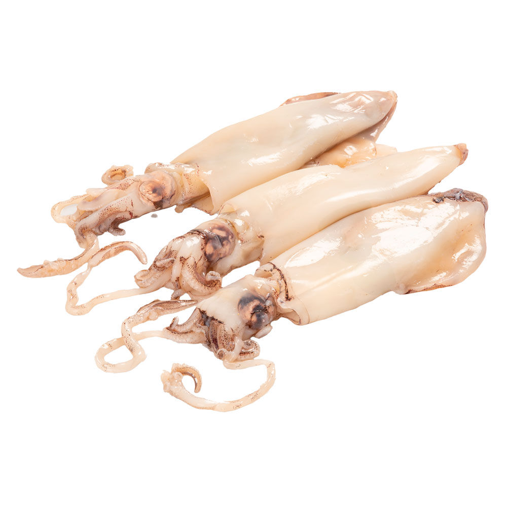 Calamari decongelati