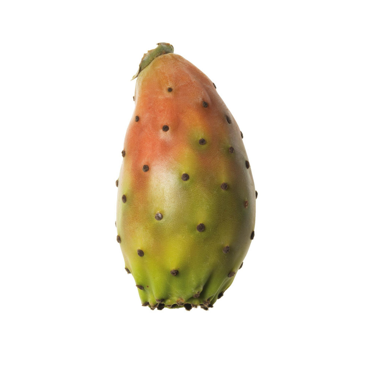 Fichi d'India