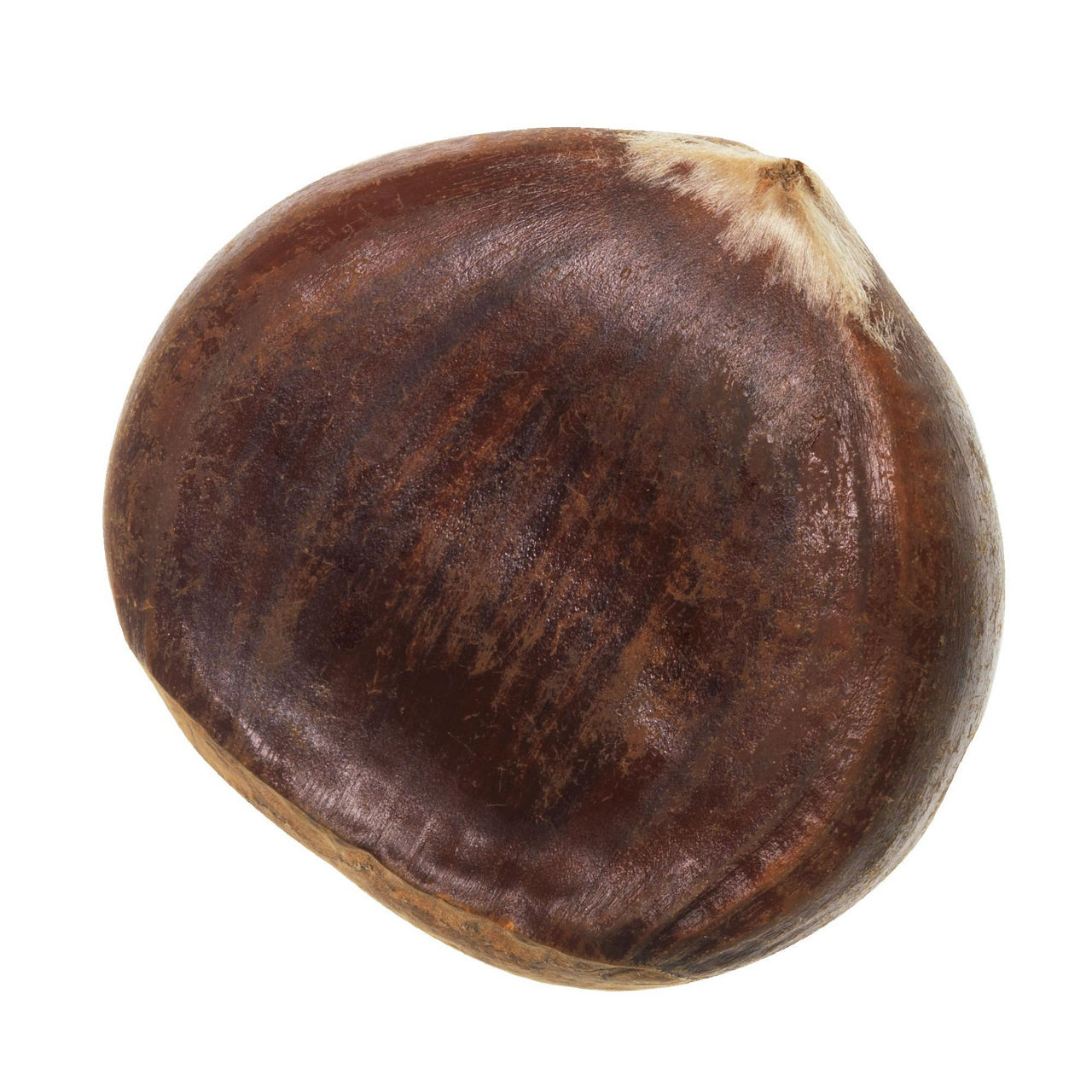 Castagne 1 kg