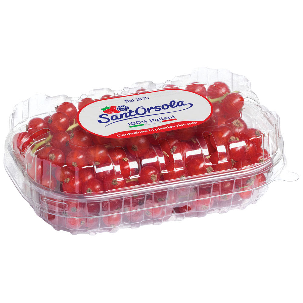Ribes rosso 125 gr