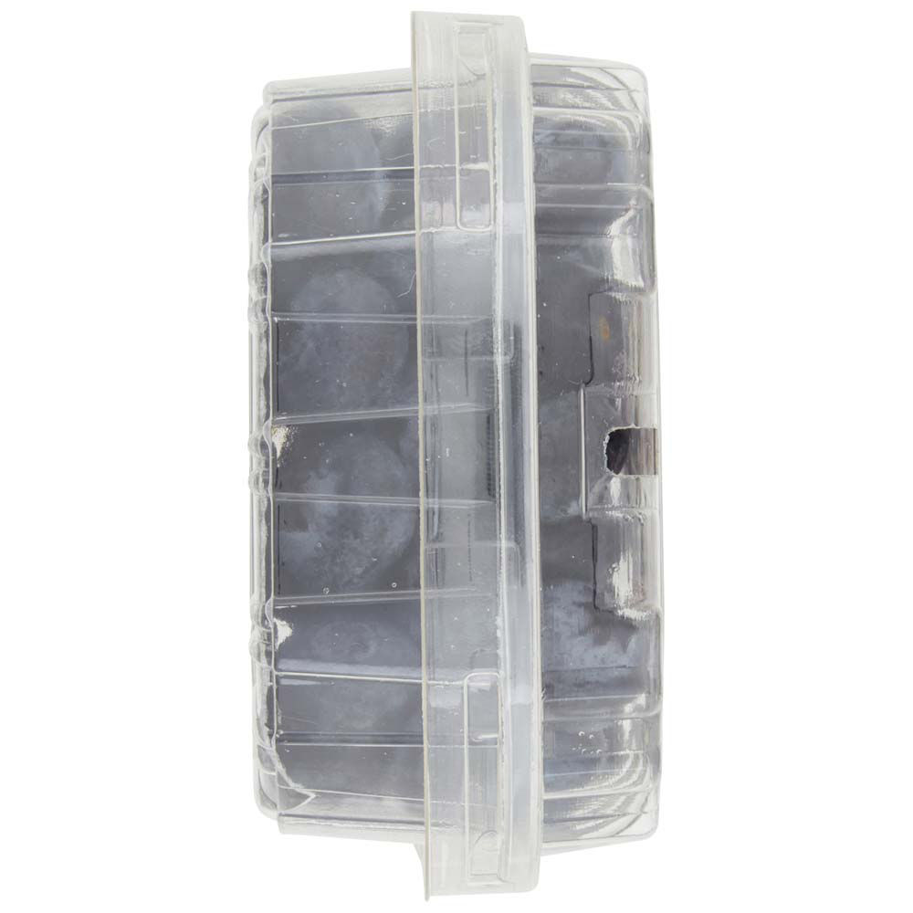 Mirtilli 125 gr - Immagine 11