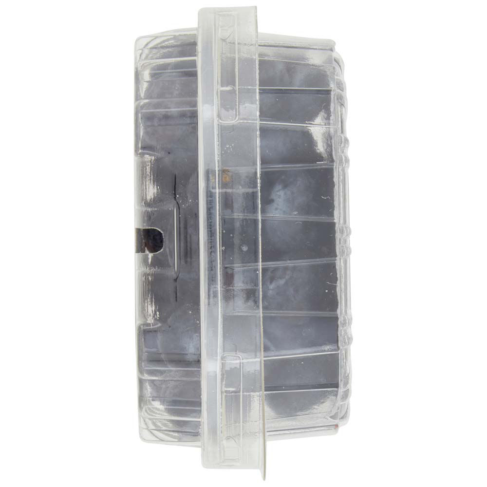 Mirtilli 125 gr - Immagine 31
