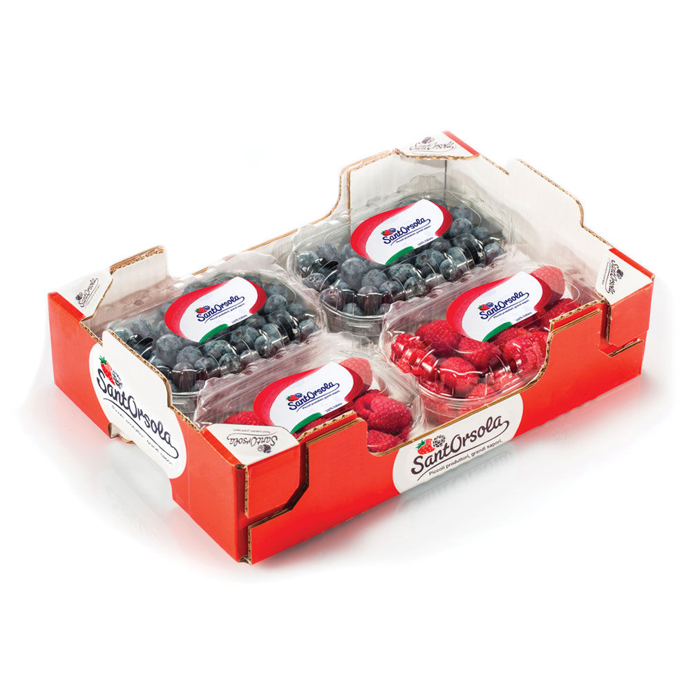 Frutti di bosco 500 gr
