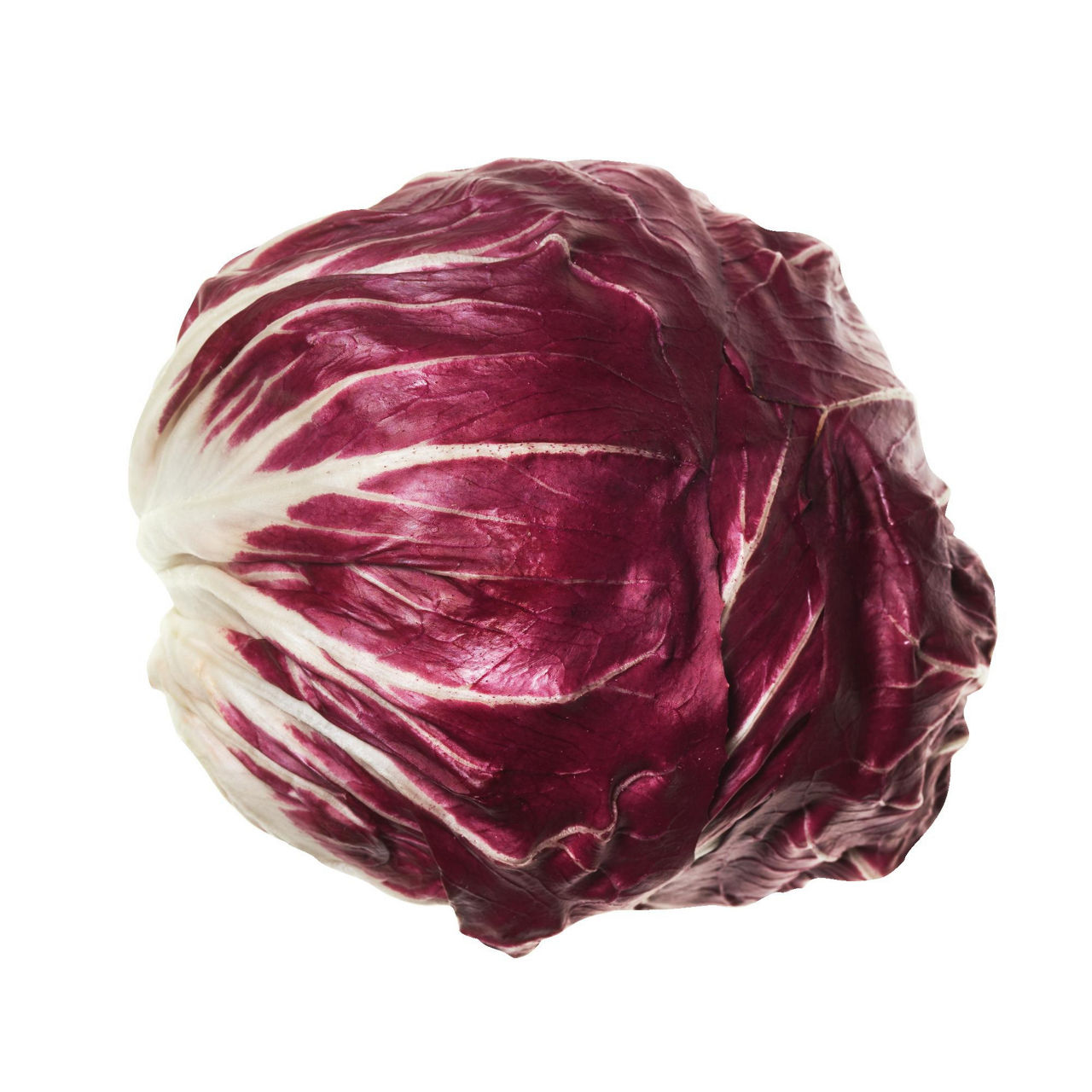 Radicchio tondo rosso