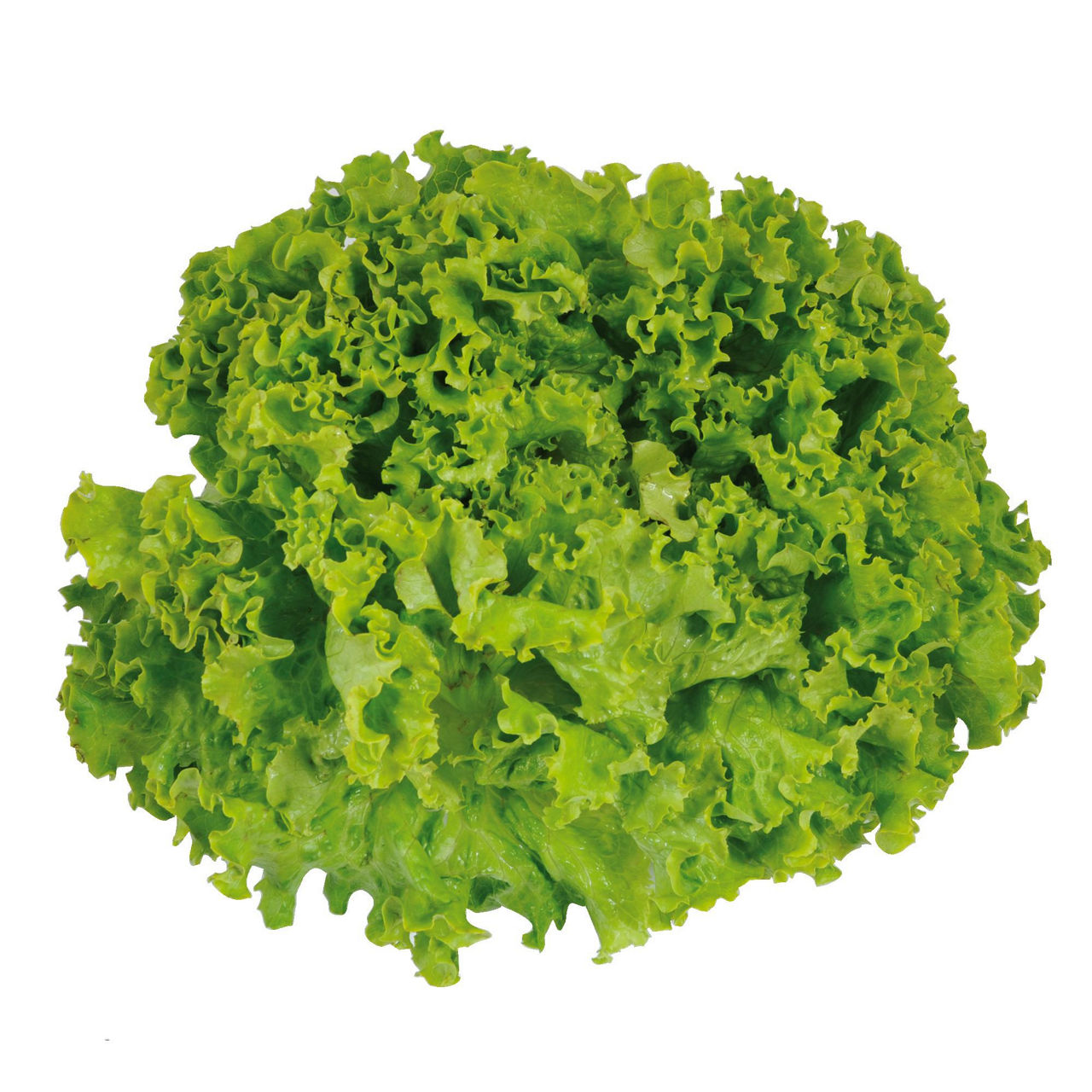 Insalata gentile