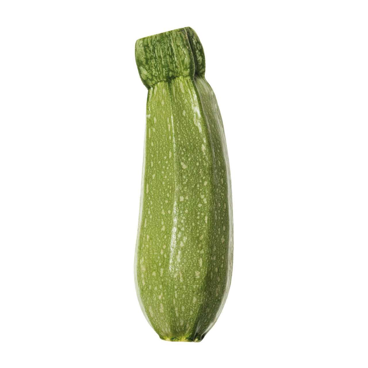 Zucchine chiare - Immagine 01