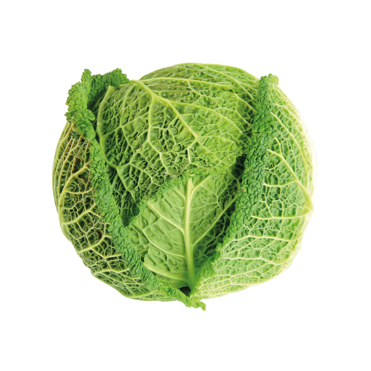 Cavolo verza verde - Immagine 01