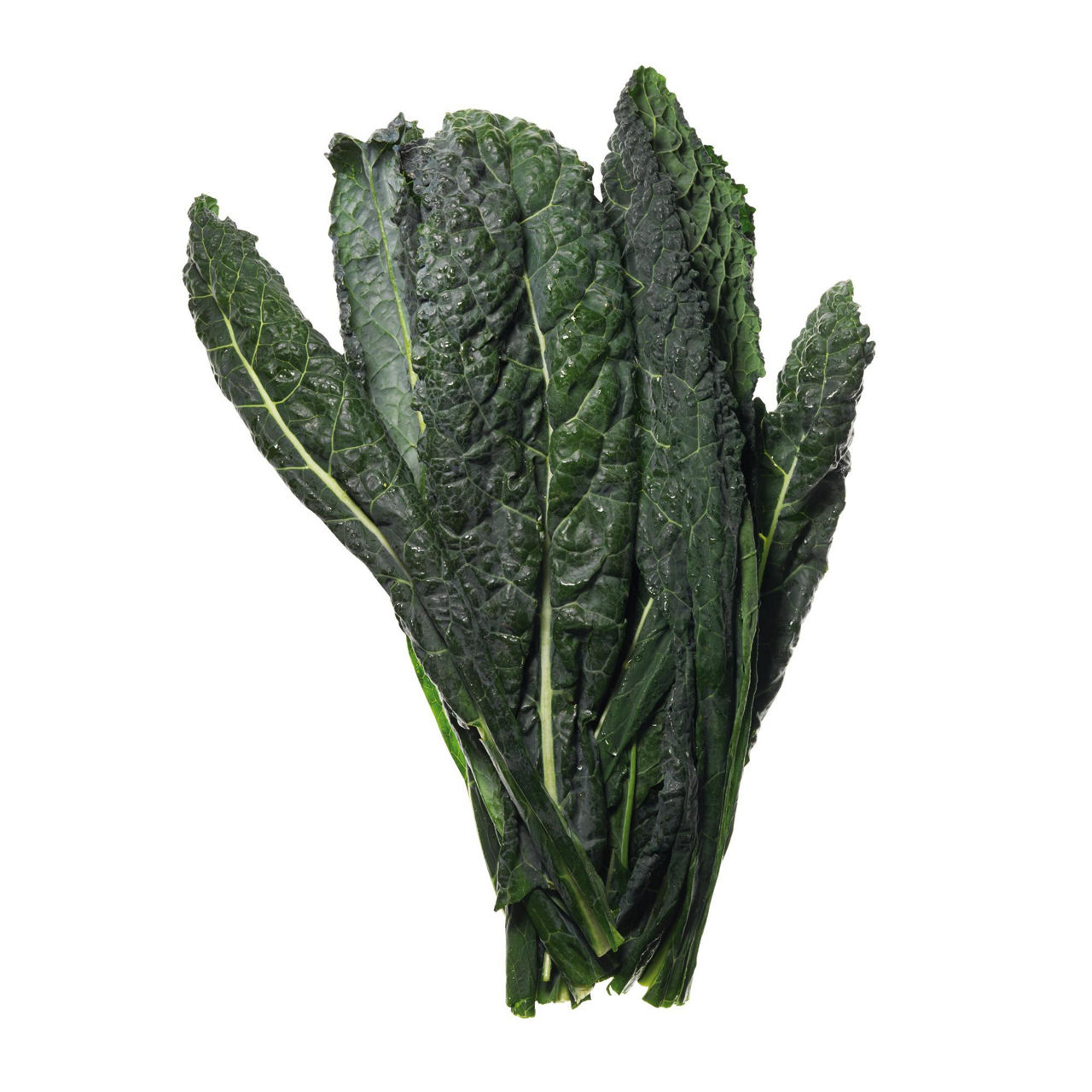 Cavolo nero - Immagine 01