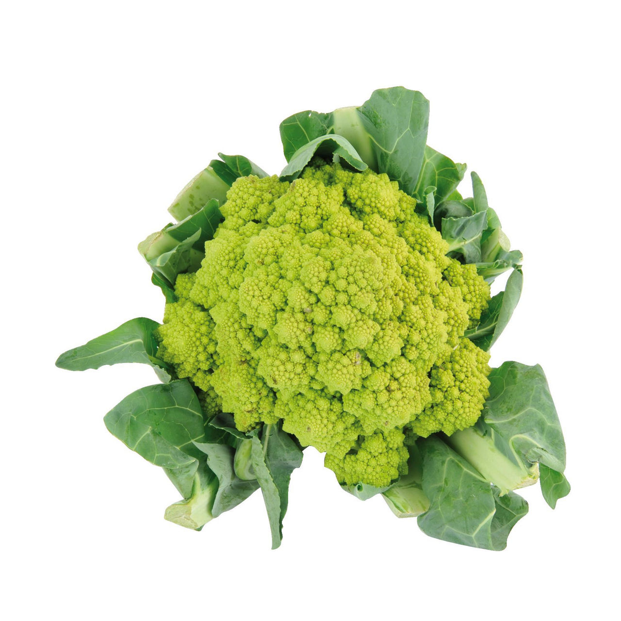 Cavolfiore Romanesco - Immagine 01