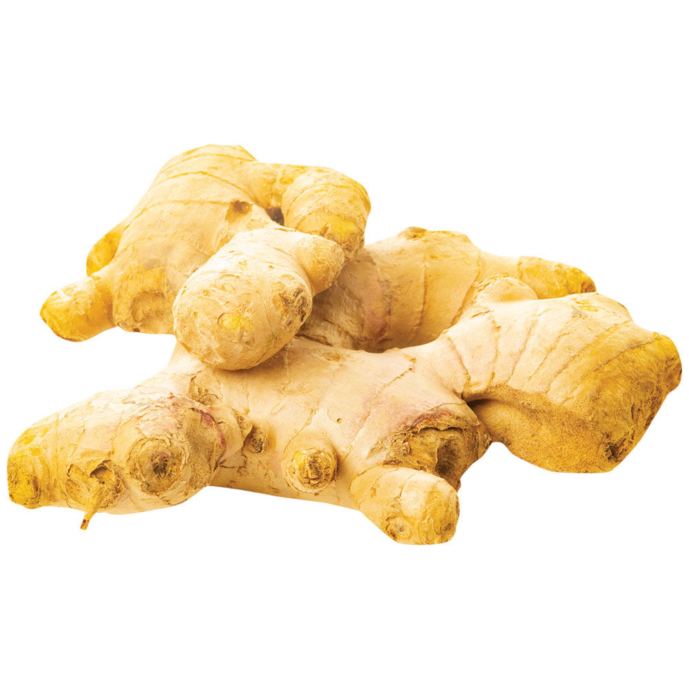 ZENZERO (GINGER) SF.