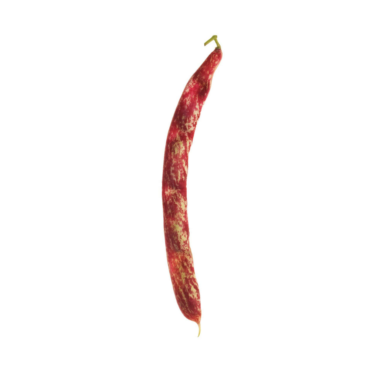 Fagioli borlotti