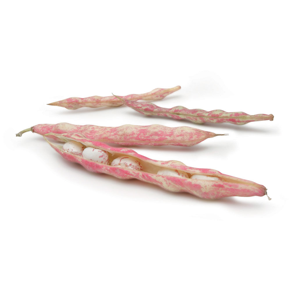 Fagioli borlotti