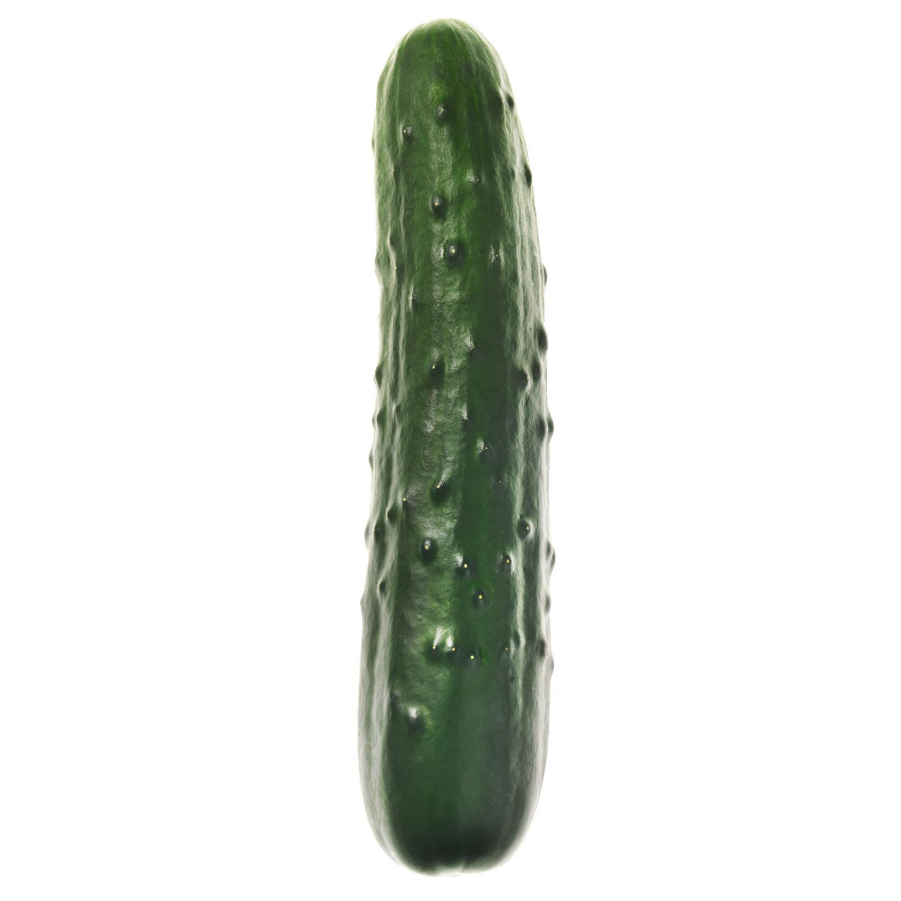 Cetrioli corti - Immagine 01