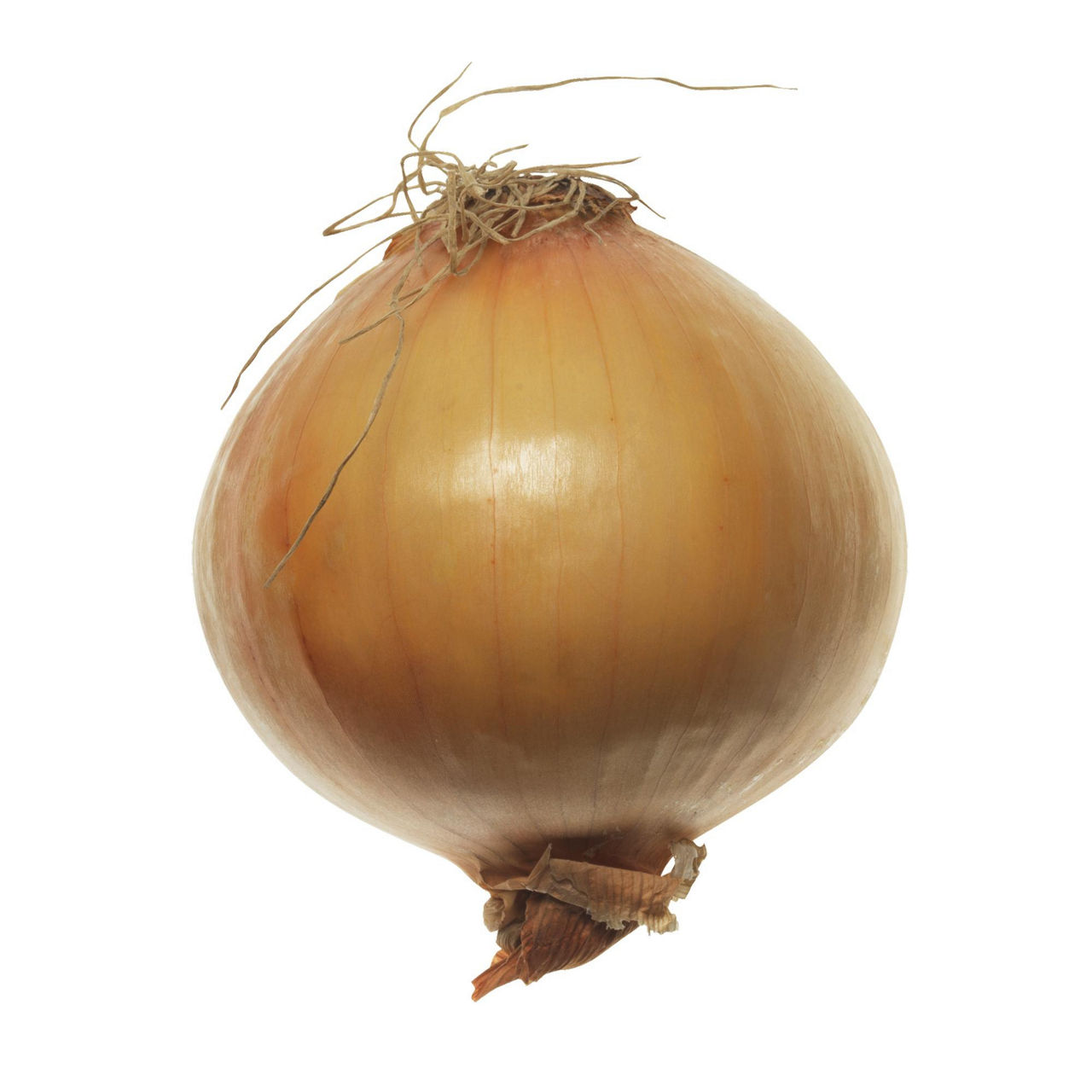 Cipolle oro 1 kg