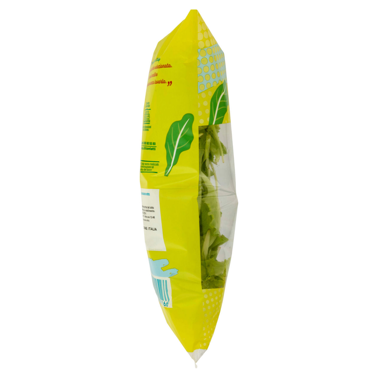 Insalatina 125 gr - Immagine 61
