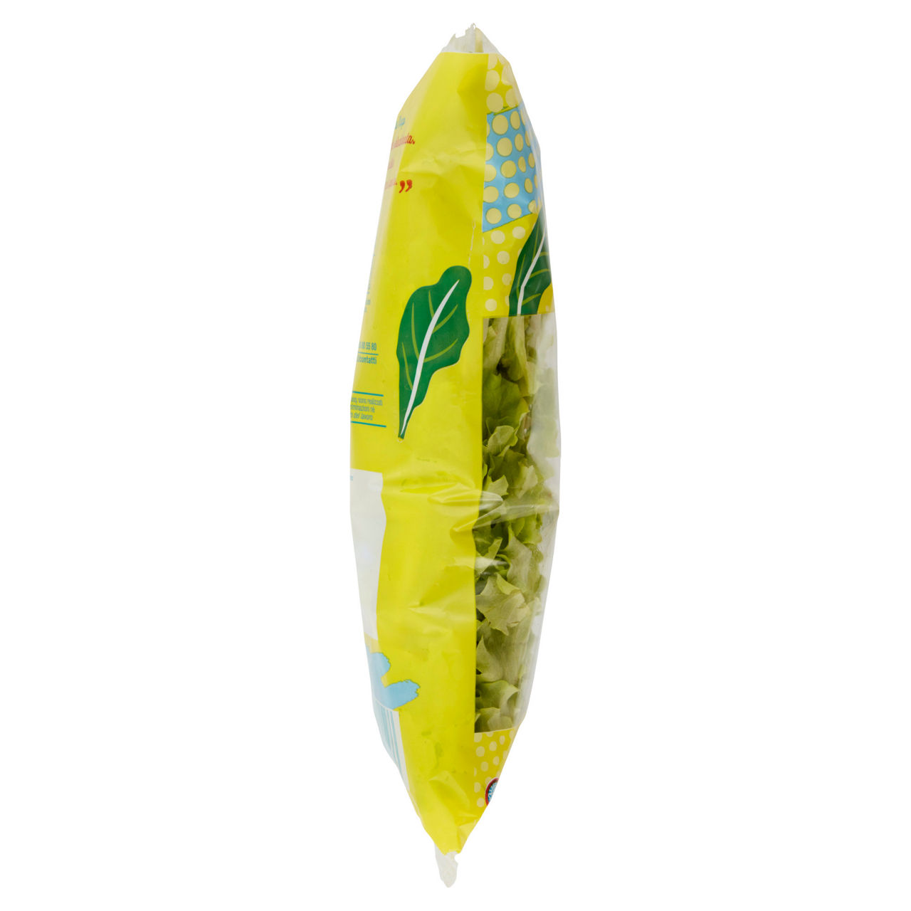 Insalatina 125 gr - Immagine 151