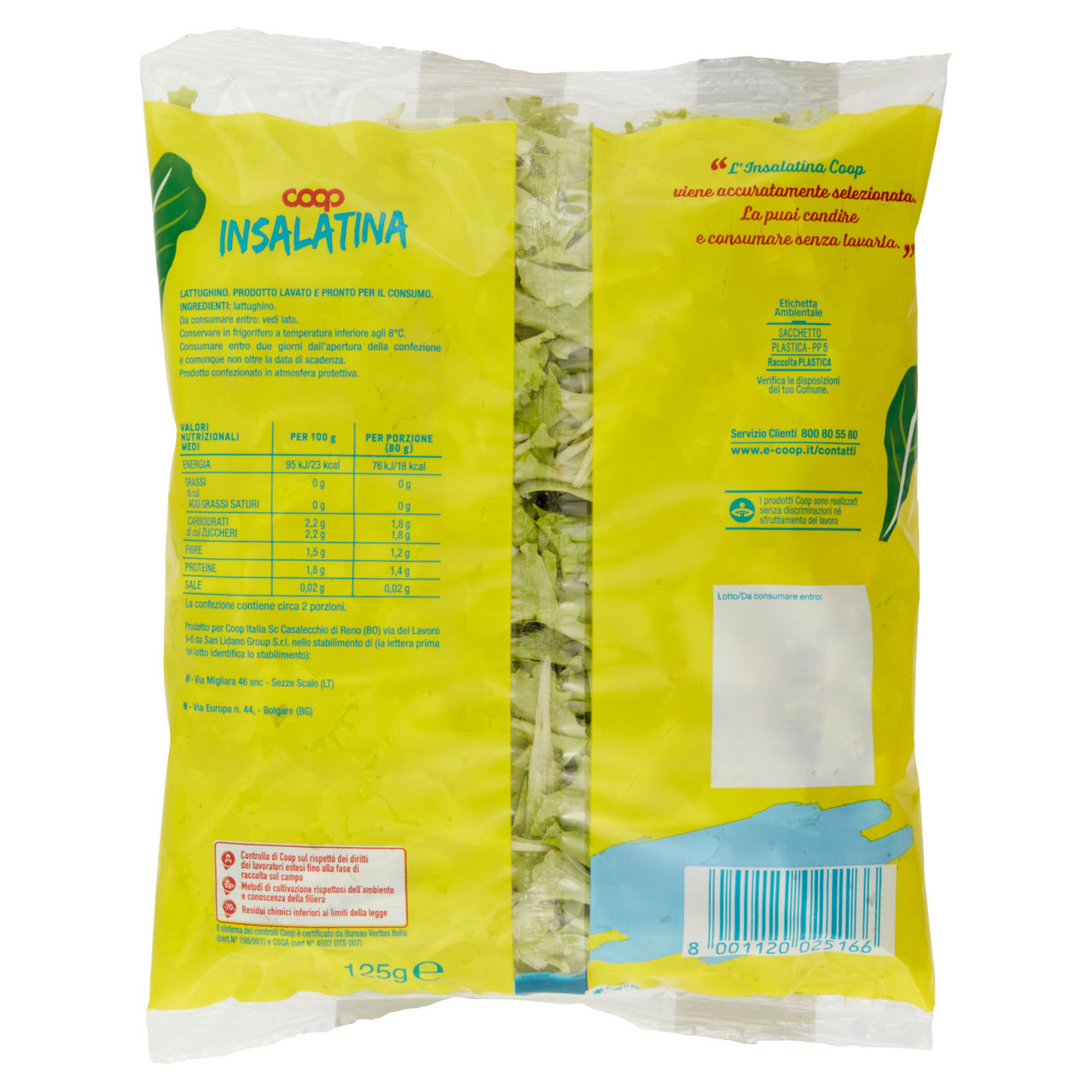 Insalatina 125 gr - Immagine 221