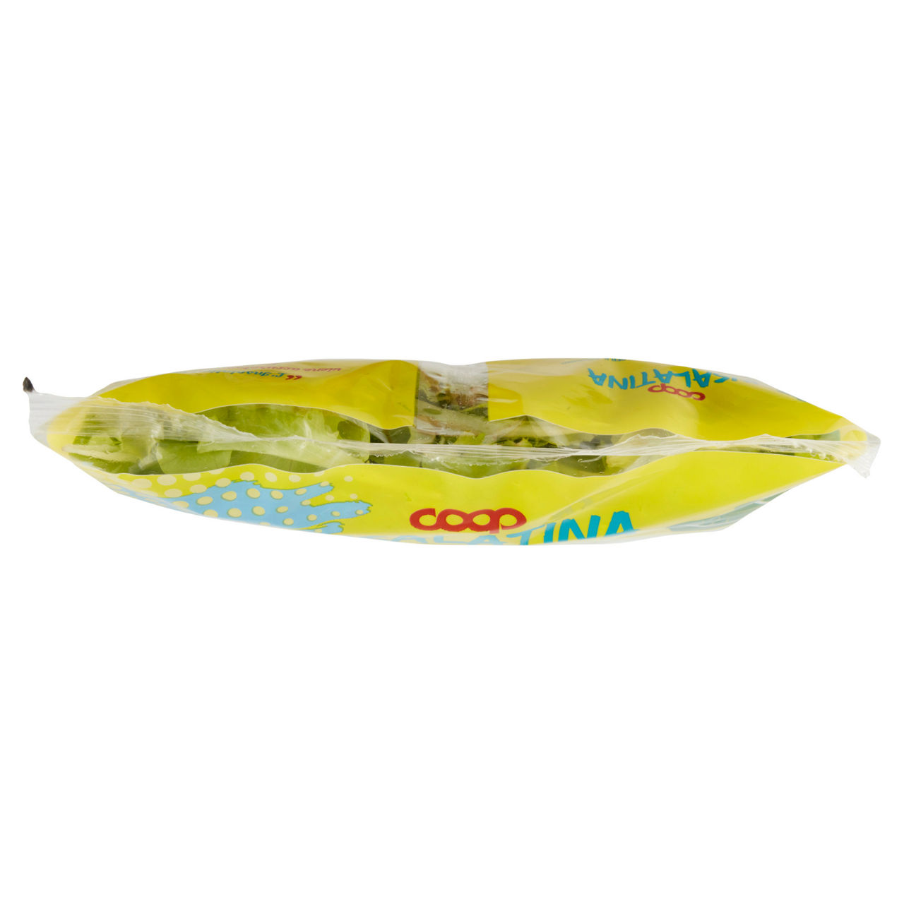 Insalatina 125 gr - Immagine 131