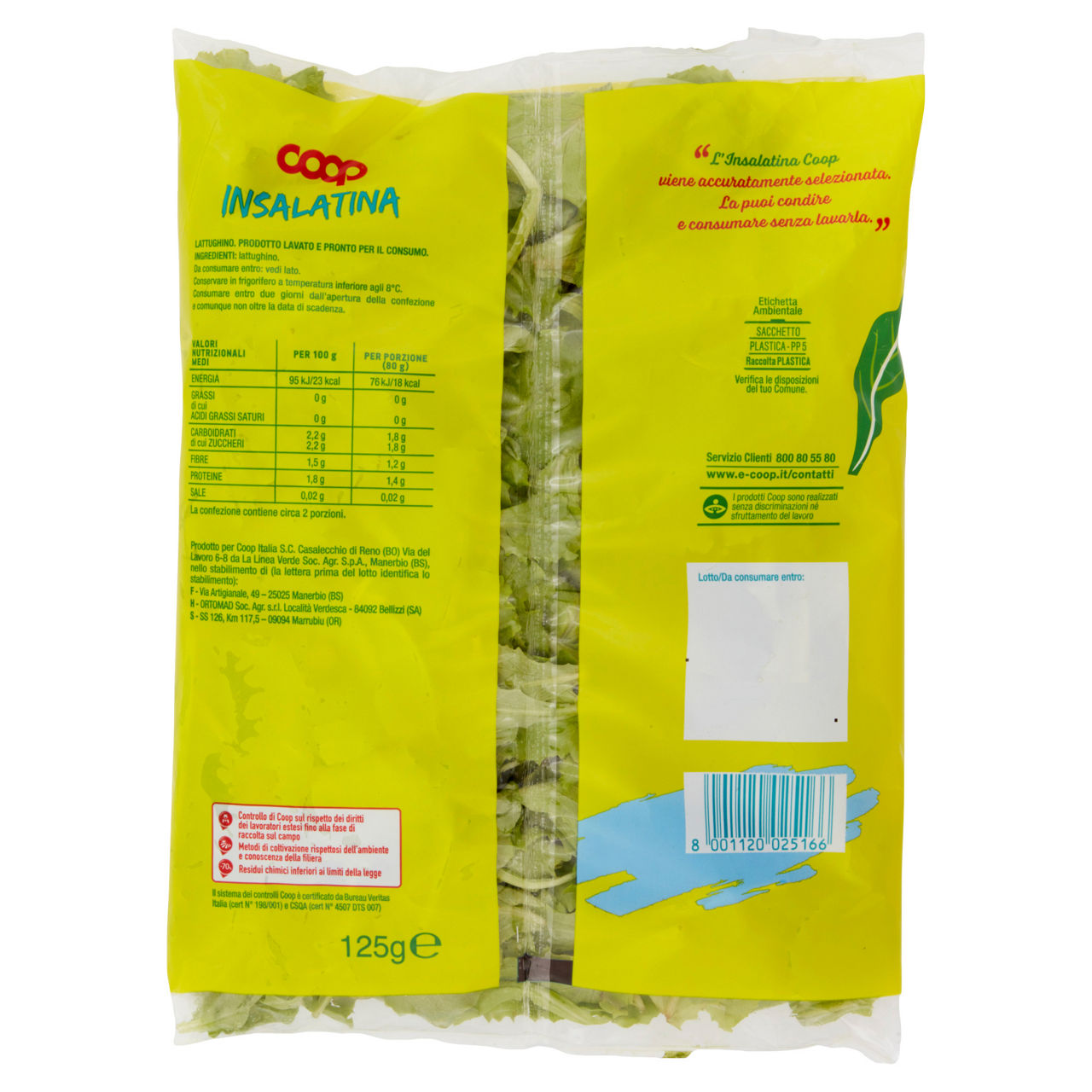 Insalatina 125 gr - Immagine 171