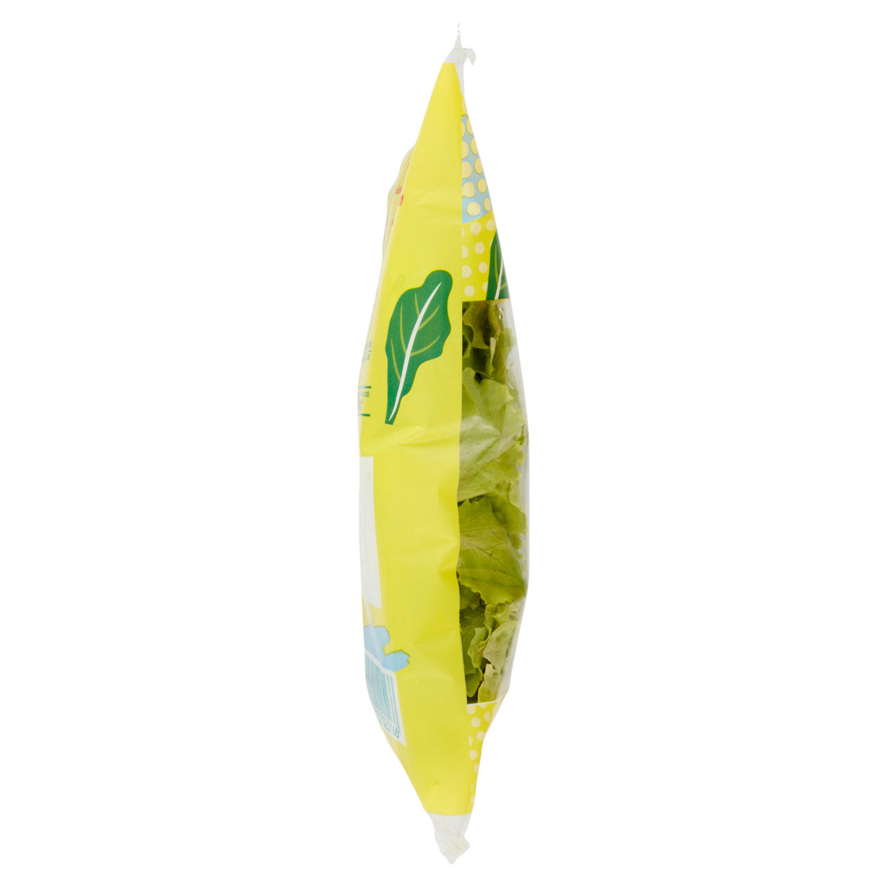 Insalatina 125 gr - Immagine 111