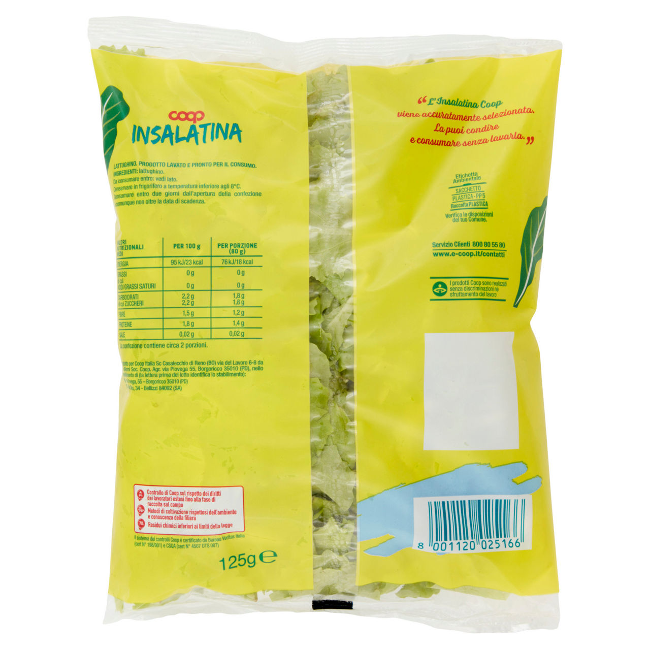 Insalatina 125 gr - Immagine 201