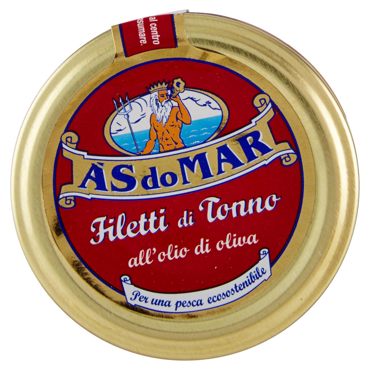 Filetti di tonno all'olio di oliva 250 gr - Immagine 51