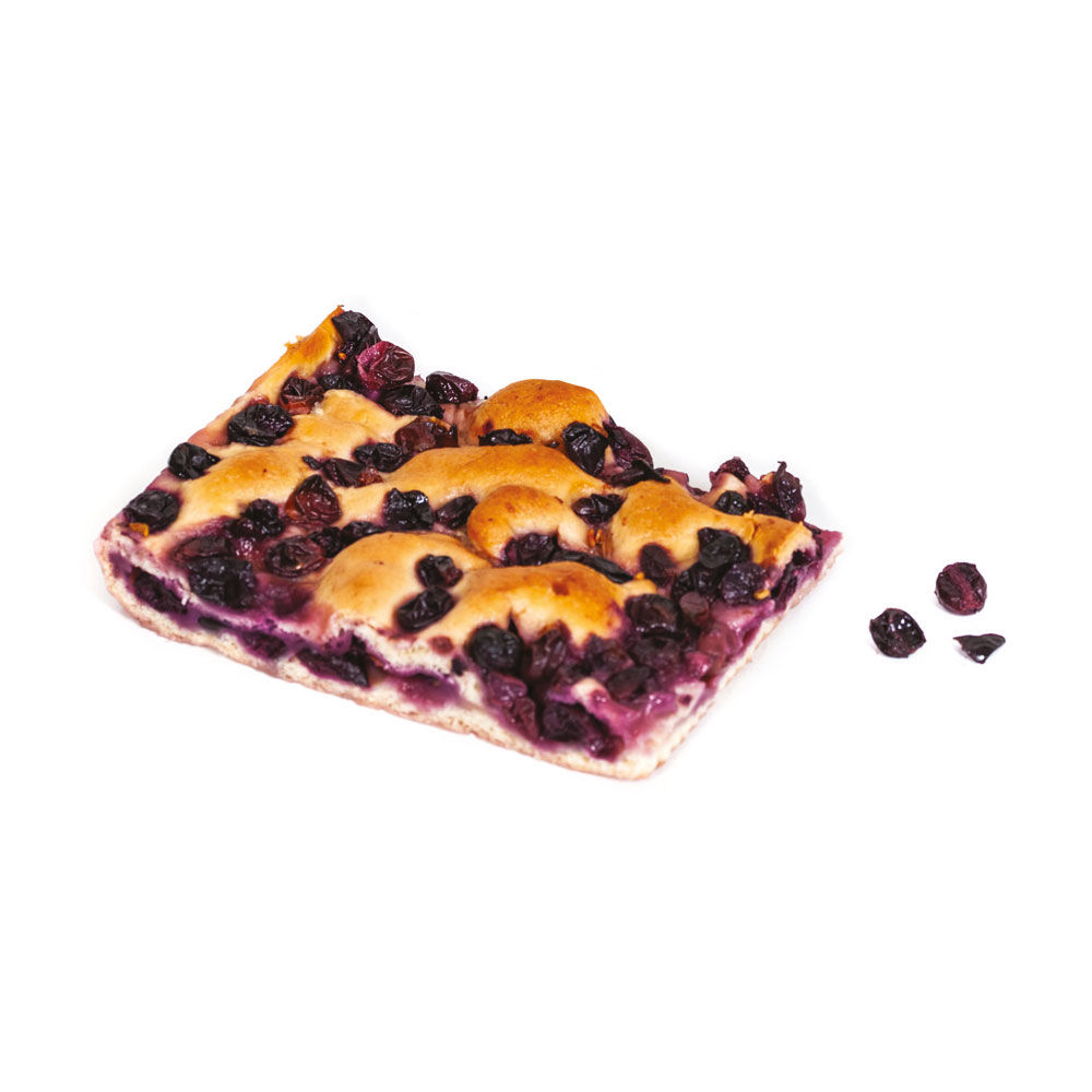 Schiacciata all'uva con semi di nostra produzione