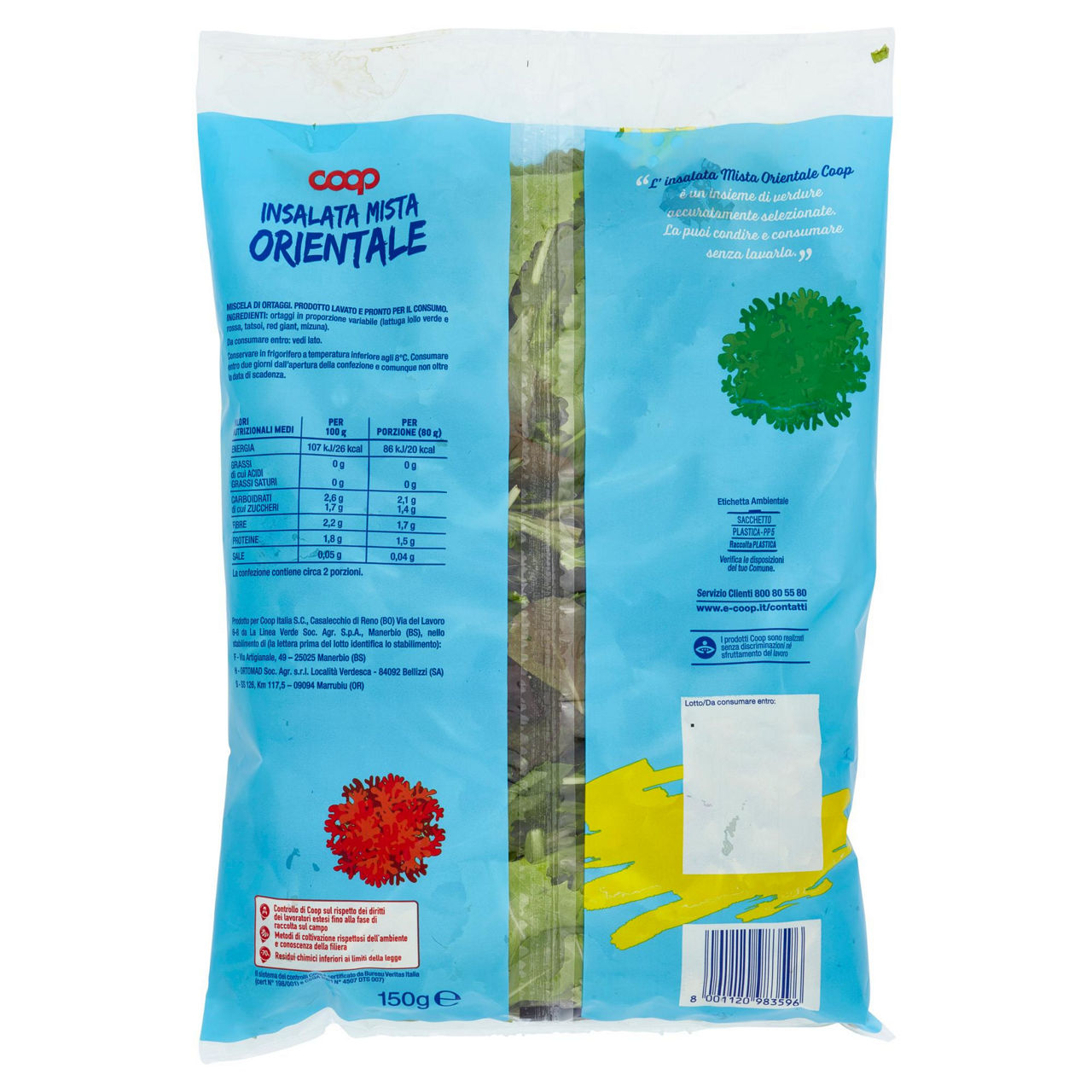 Insalata mista Orientale 150 gr - Immagine 101