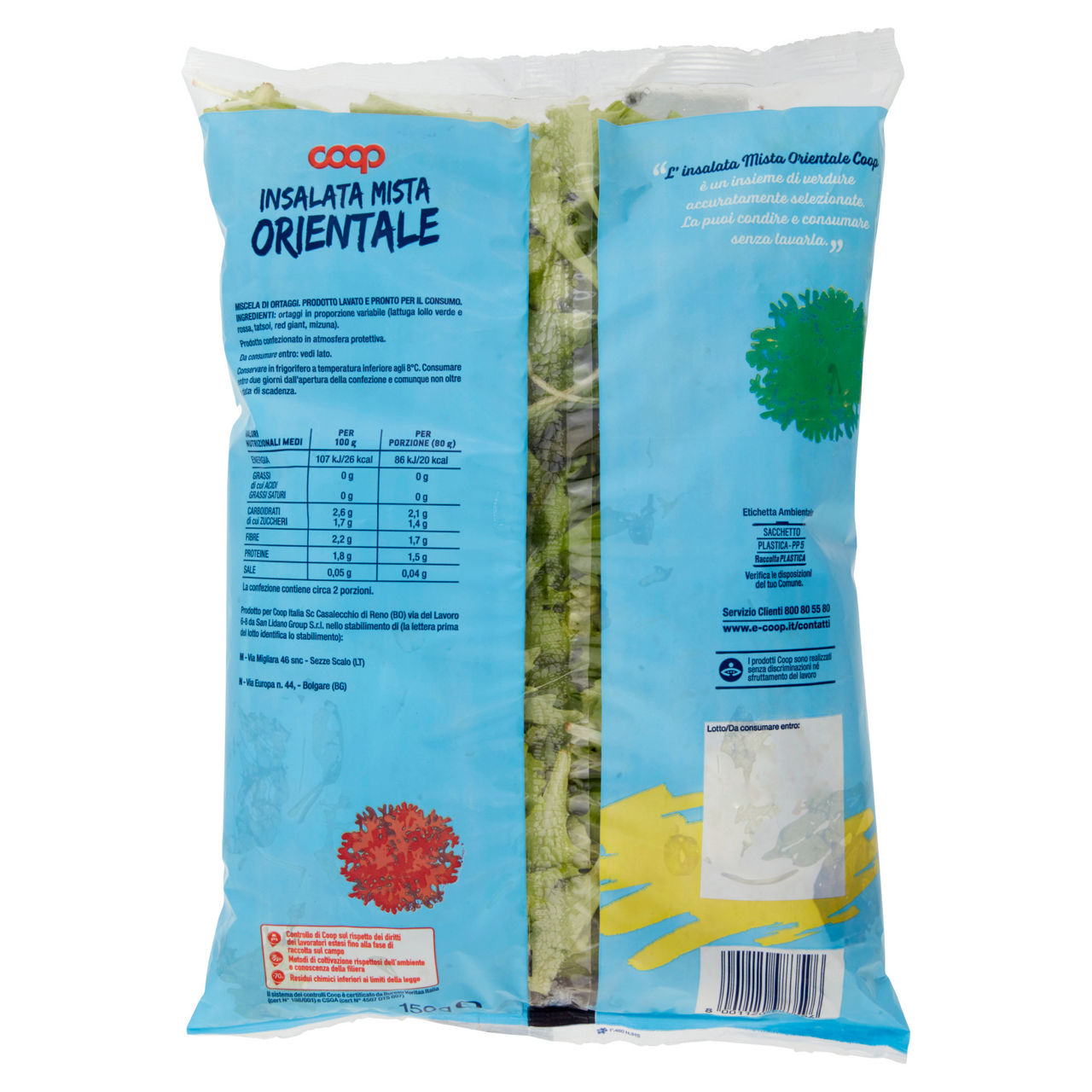 Insalata mista Orientale 150 gr - Immagine 61