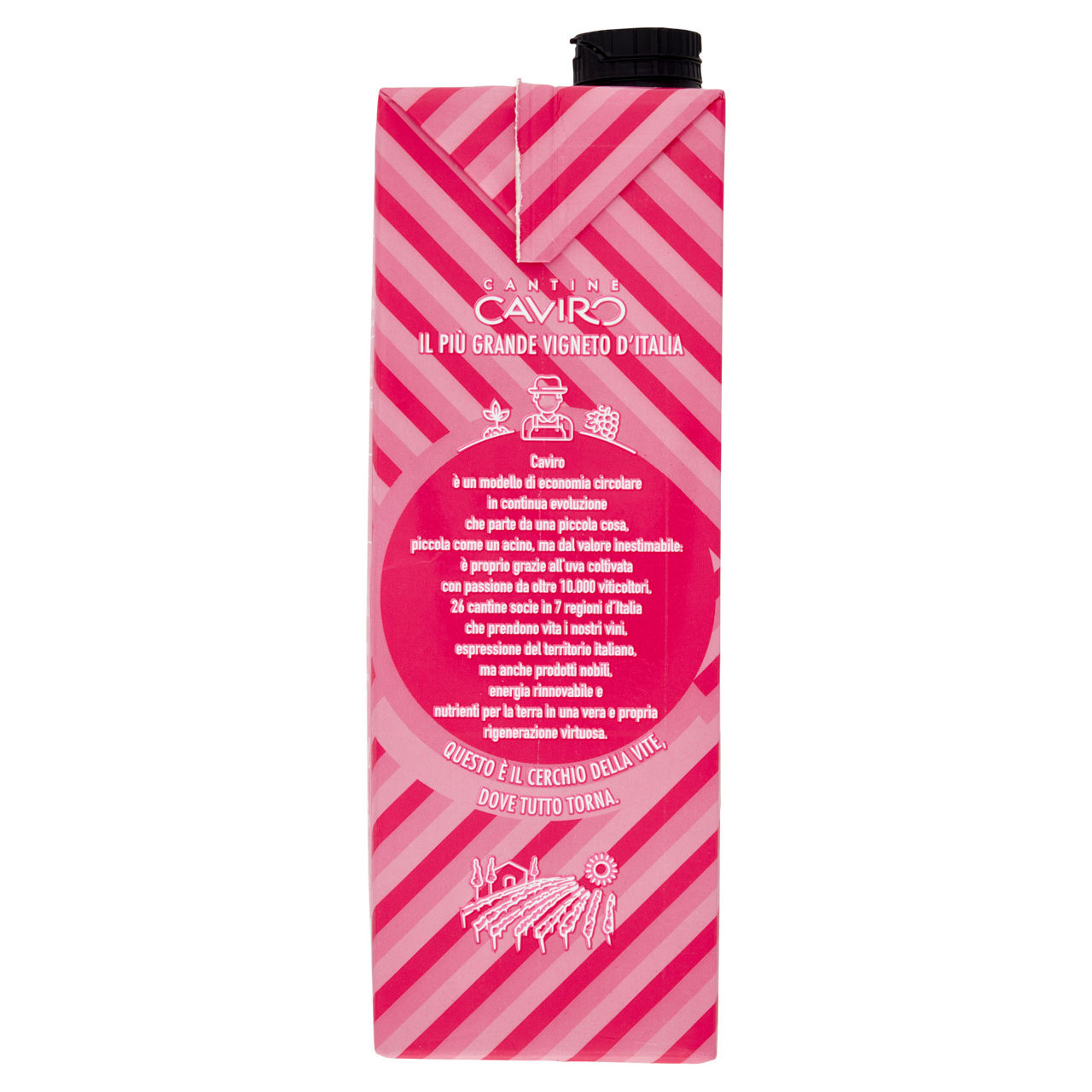 Tavernello rosato d'Italia in brick 1 lt - Immagine 11