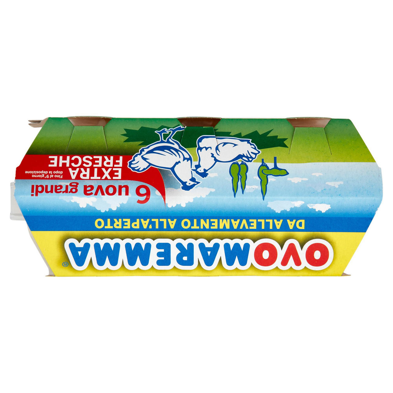 Uova grandi extra fresche da allevamento all'aperto 6 pz - Immagine 51