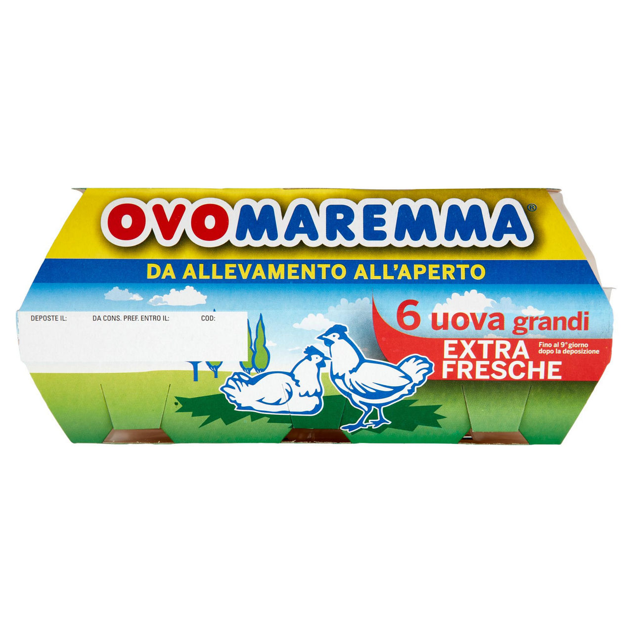 Uova grandi extra fresche da allevamento all'aperto 6 pz - Immagine 41