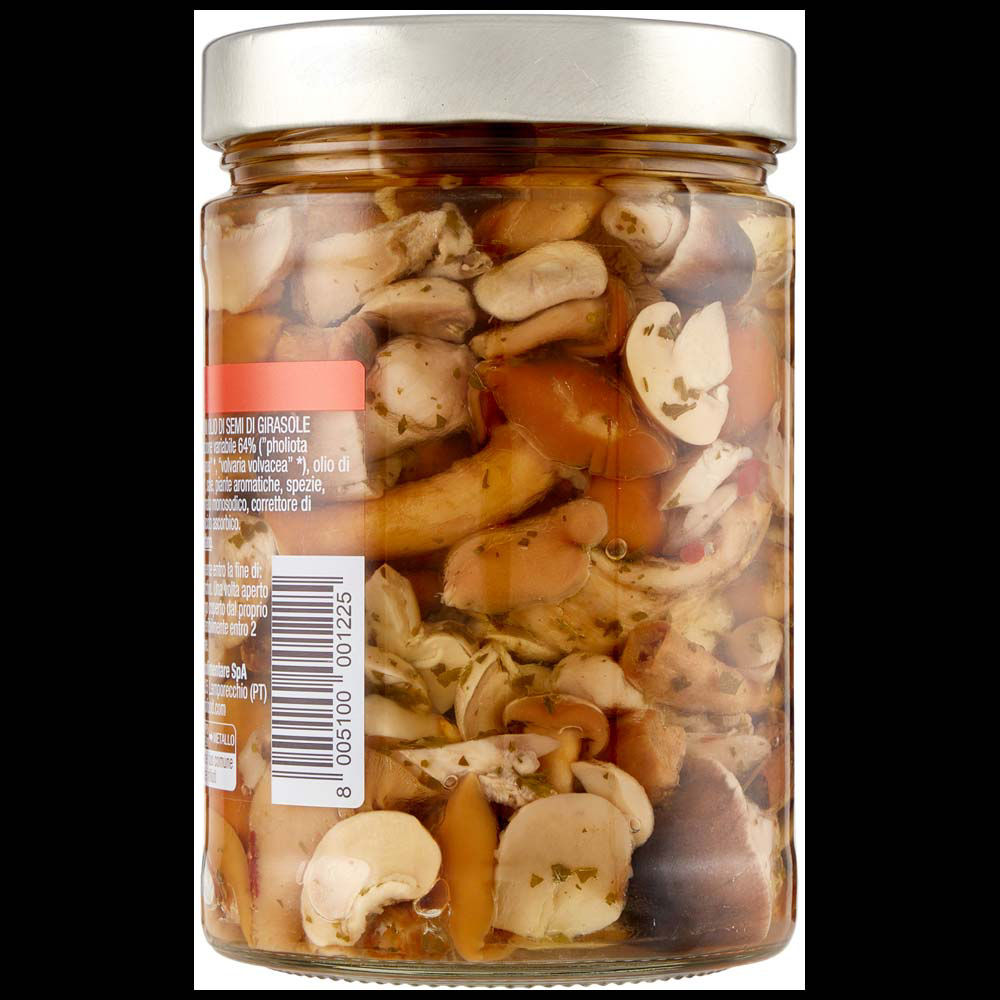 Misto funghi in olio di girasole 530 gr - Immagine 21